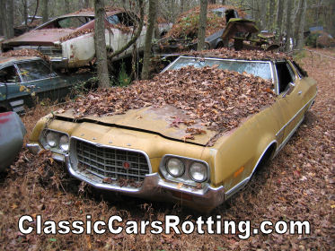 Houston ford junk yard