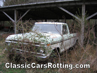 Old ford junk removal #6